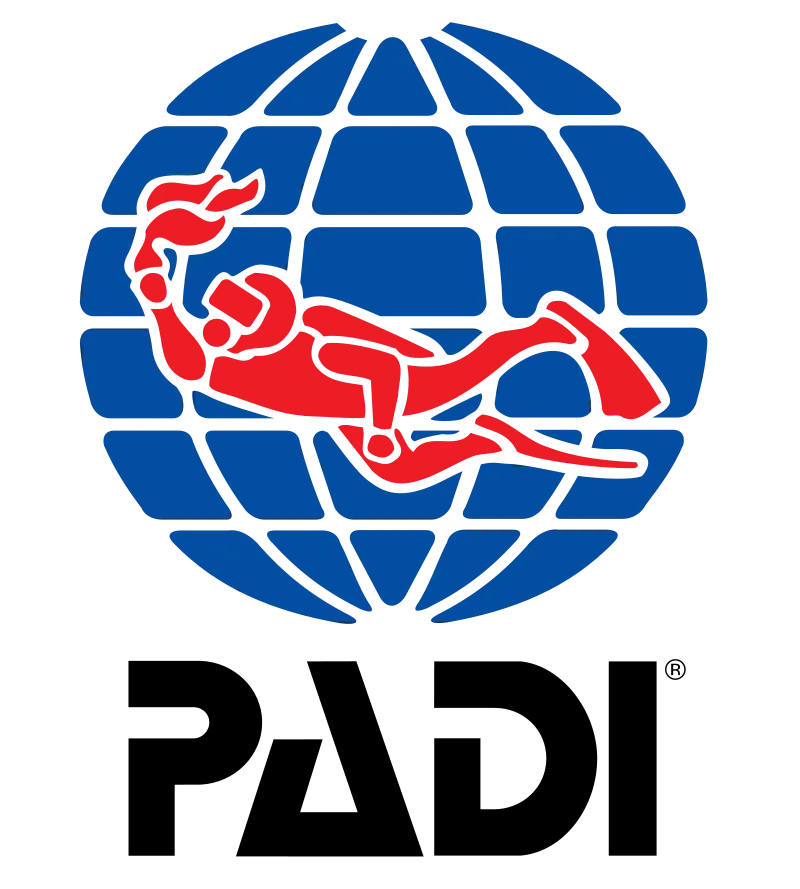 Logo 2